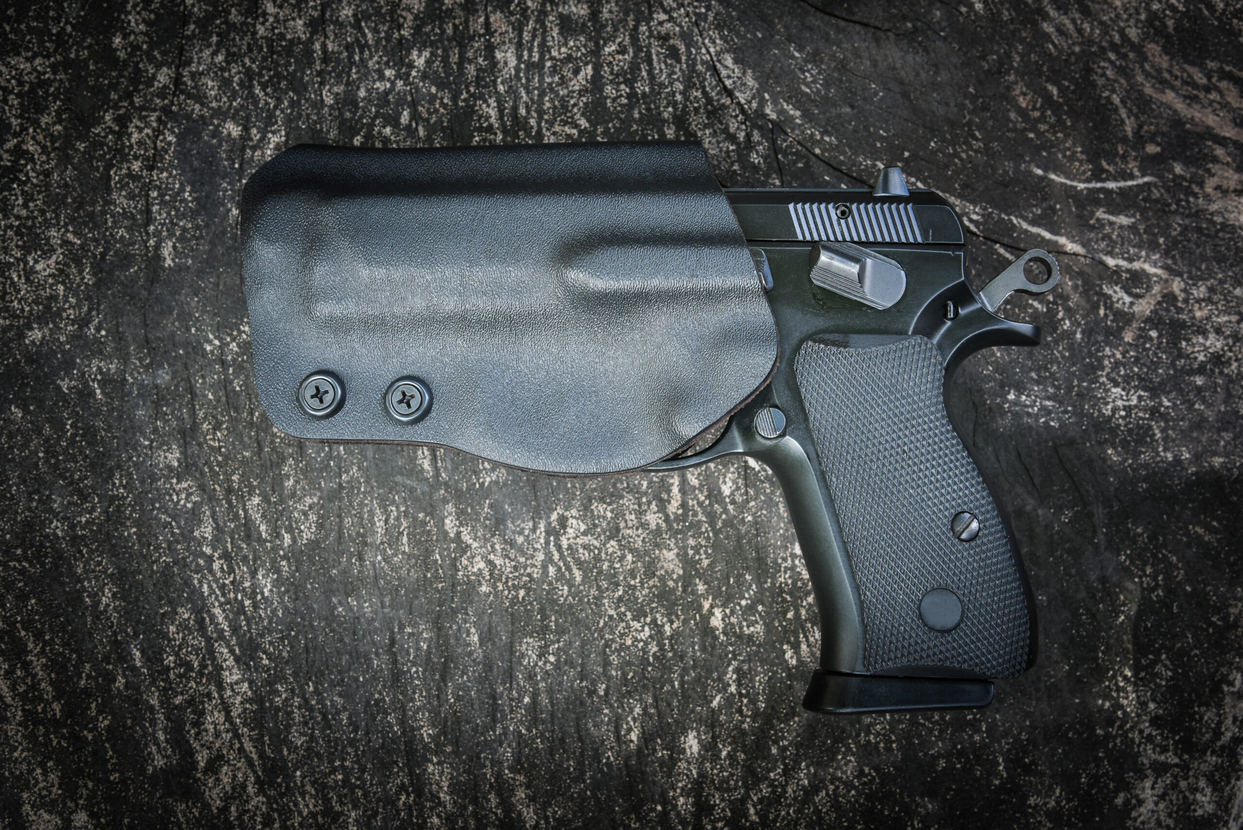 HOLSTERS