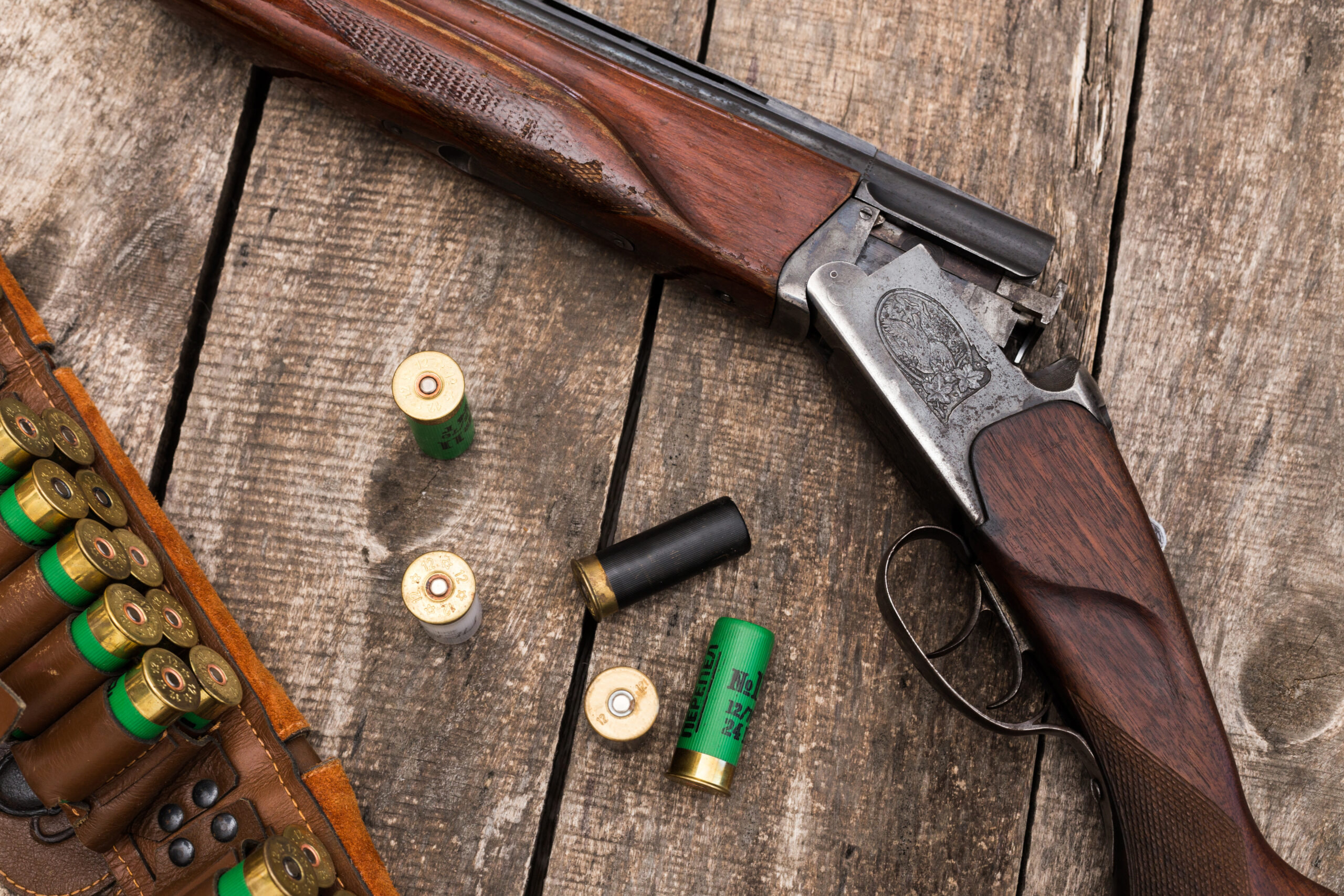 SHOTGUN AMMO